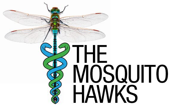 The Mosquito Hawks